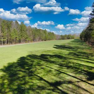 Photo #7 of 19075 CHILESBURG RD, BEAVERDAM, VA 21.6 acres