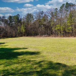Photo #12 of 19075 CHILESBURG RD, BEAVERDAM, VA 21.6 acres