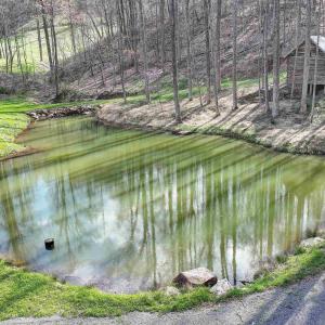 Photo #5 of GIBSONS HOLLOW LN, CHARLOTTESVILLE, VA 107.3 acres