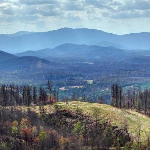 Photo #1 of GIBSONS HOLLOW LN, CHARLOTTESVILLE, VA 107.3 acres