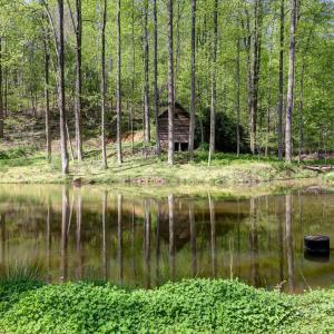 Photo #31 of GIBSONS HOLLOW LN, CHARLOTTESVILLE, VA 107.3 acres