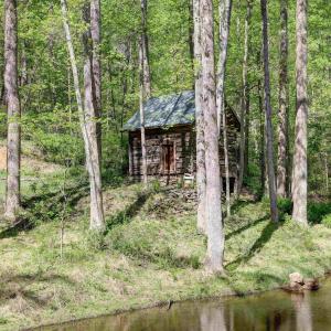 Photo #33 of GIBSONS HOLLOW LN, CHARLOTTESVILLE, VA 107.3 acres