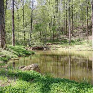 Photo #32 of GIBSONS HOLLOW LN, CHARLOTTESVILLE, VA 107.3 acres