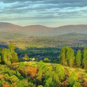 Photo #8 of GIBSONS HOLLOW LN, CHARLOTTESVILLE, VA 107.3 acres