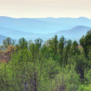 Photo #5 of GIBSONS HOLLOW LN, CHARLOTTESVILLE, VA 107.3 acres