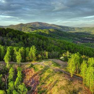 Photo #3 of GIBSONS HOLLOW LN, CHARLOTTESVILLE, VA 107.3 acres