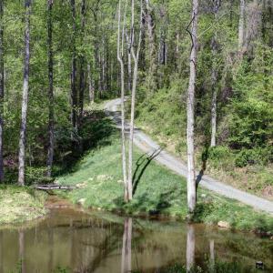 Photo #38 of GIBSONS HOLLOW LN, CHARLOTTESVILLE, VA 107.3 acres
