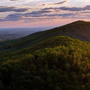 Photo #47 of GIBSONS HOLLOW LN, CHARLOTTESVILLE, VA 107.3 acres