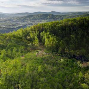 Photo #55 of GIBSONS HOLLOW LN, CHARLOTTESVILLE, VA 107.3 acres