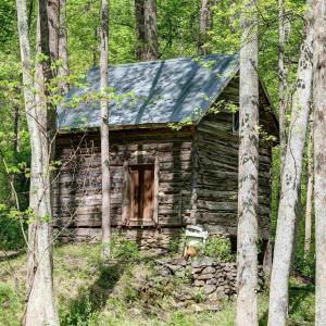 Photo #34 of GIBSONS HOLLOW LN, CHARLOTTESVILLE, VA 107.3 acres