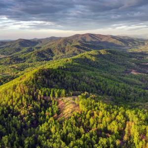 Photo #49 of GIBSONS HOLLOW LN, CHARLOTTESVILLE, VA 107.3 acres