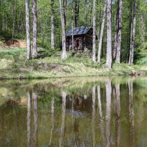 Photo #35 of GIBSONS HOLLOW LN, CHARLOTTESVILLE, VA 107.3 acres