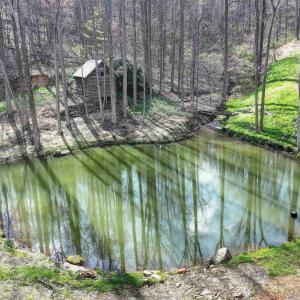 Photo #16 of GIBSONS HOLLOW LN, CHARLOTTESVILLE, VA 107.3 acres