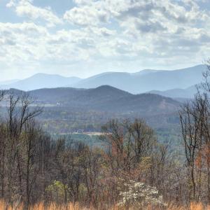 Photo #26 of GIBSONS HOLLOW LN, CHARLOTTESVILLE, VA 107.3 acres