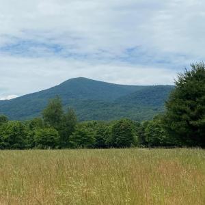 Photo #7 of 3 PHILLIPS LN, NELLYSFORD, VA 4.1 acres