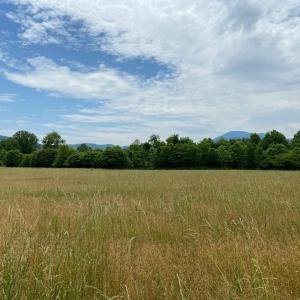 Photo #8 of 3 PHILLIPS LN, NELLYSFORD, VA 4.1 acres