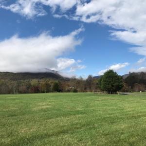 Photo #11 of 3 PHILLIPS LN, NELLYSFORD, VA 4.1 acres