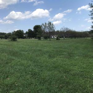 Photo #5 of 3 PHILLIPS LN, NELLYSFORD, VA 4.1 acres