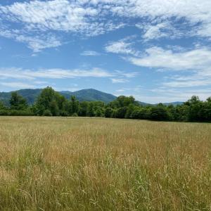 Photo #4 of 3 PHILLIPS LN, NELLYSFORD, VA 4.1 acres