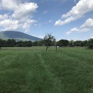 Photo #2 of 3 PHILLIPS LN, NELLYSFORD, VA 4.1 acres