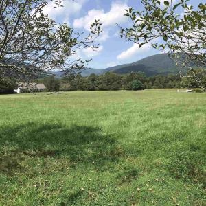 Photo #1 of 3 PHILLIPS LN, NELLYSFORD, VA 4.1 acres