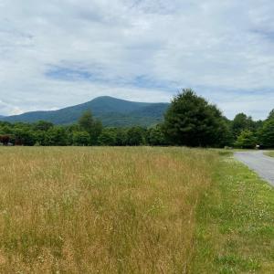 Photo #6 of 3 PHILLIPS LN, NELLYSFORD, VA 4.1 acres