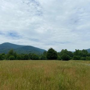 Photo #10 of 3 PHILLIPS LN, NELLYSFORD, VA 4.1 acres