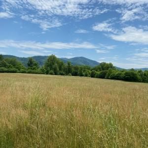 Photo #13 of 3 PHILLIPS LN, NELLYSFORD, VA 4.1 acres