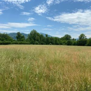 Photo #9 of 3 PHILLIPS LN, NELLYSFORD, VA 4.1 acres