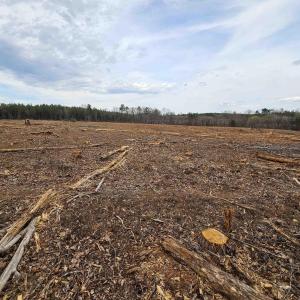 Photo #7 of 83.84 Ac JAMES RIVER RD, BUCKINGHAM, VA 83.8 acres