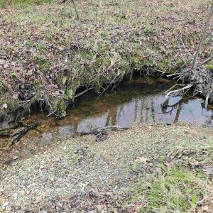 Photo #14 of 83.84 Ac JAMES RIVER RD, BUCKINGHAM, VA 83.8 acres