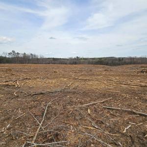 Photo #6 of 83.84 Ac JAMES RIVER RD, BUCKINGHAM, VA 83.8 acres