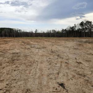 Photo #18 of 83.84 Ac JAMES RIVER RD, BUCKINGHAM, VA 83.8 acres