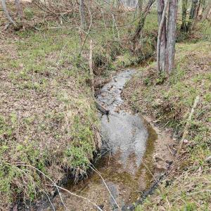 Photo #2 of 83.84 Ac JAMES RIVER RD, BUCKINGHAM, VA 83.8 acres