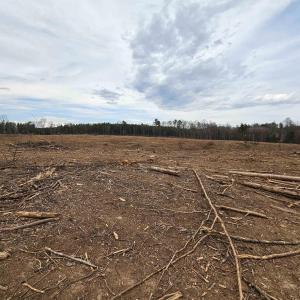 Photo #9 of 83.84 Ac JAMES RIVER RD, BUCKINGHAM, VA 83.8 acres