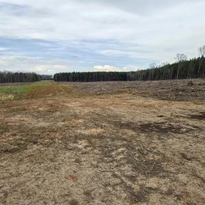 Photo #1 of 83.84 Ac JAMES RIVER RD, BUCKINGHAM, VA 83.8 acres