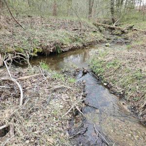 Photo #13 of 83.84 Ac JAMES RIVER RD, BUCKINGHAM, VA 83.8 acres