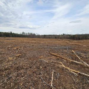 Photo #15 of 83.84 Ac JAMES RIVER RD, BUCKINGHAM, VA 83.8 acres