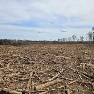 Photo #16 of 83.84 Ac JAMES RIVER RD, BUCKINGHAM, VA 83.8 acres