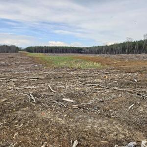 Photo #5 of 83.84 Ac JAMES RIVER RD, BUCKINGHAM, VA 83.8 acres