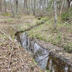 Photo #13 of 83.84 Ac JAMES RIVER RD, BUCKINGHAM, VA 83.8 acres