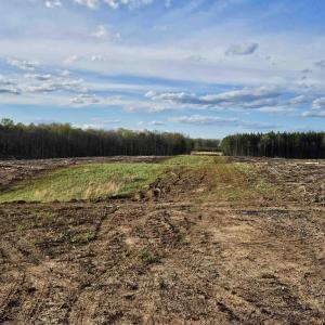 Photo #1 of 83.84 Ac JAMES RIVER RD, BUCKINGHAM, VA 83.8 acres