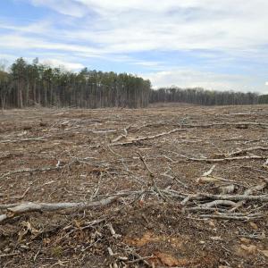 Photo #23 of 83.84 Ac JAMES RIVER RD, BUCKINGHAM, VA 83.8 acres