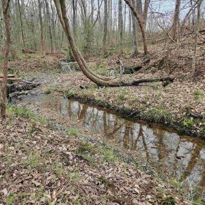 Photo #10 of 83.84 Ac JAMES RIVER RD, BUCKINGHAM, VA 83.8 acres