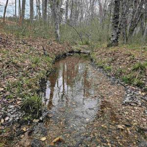 Photo #7 of 83.84 Ac JAMES RIVER RD, BUCKINGHAM, VA 83.8 acres
