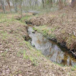 Photo #2 of 83.84 Ac JAMES RIVER RD, BUCKINGHAM, VA 83.8 acres