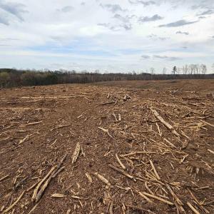 Photo #20 of 83.84 Ac JAMES RIVER RD, BUCKINGHAM, VA 83.8 acres