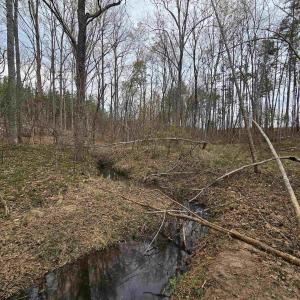Photo #14 of 83.84 Ac JAMES RIVER RD, BUCKINGHAM, VA 83.8 acres