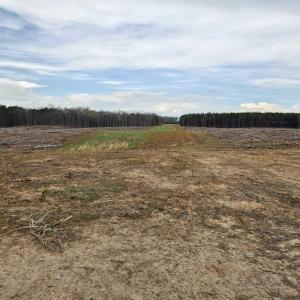 Photo #22 of 83.84 Ac JAMES RIVER RD, BUCKINGHAM, VA 83.8 acres