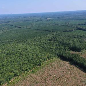 Photo #63 of 100 Ac JAMES ANDERSON HWY, GLADSTONE, VA 100.0 acres